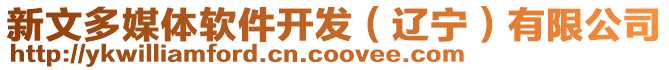 新文多媒體軟件開發（遼寧）有限公司