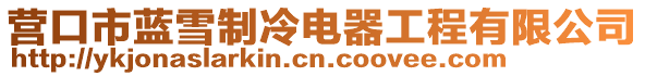 營口市藍(lán)雪制冷電器工程有限公司