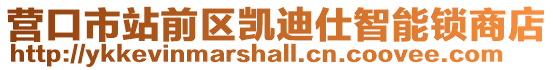 營口市站前區凱迪仕智能鎖商店