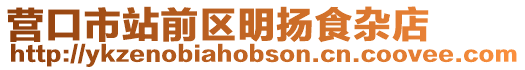 營口市站前區明揚食雜店