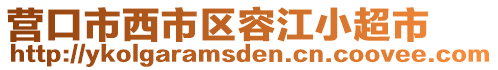 營(yíng)口市西市區(qū)容江小超市