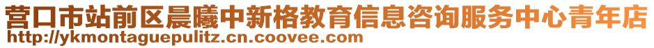 營口市站前區(qū)晨曦中新格教育信息咨詢服務(wù)中心青年店