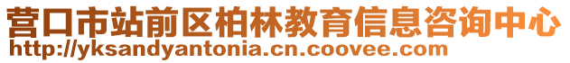 营口市站前区柏林教育信息咨询中心