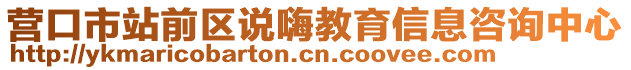 营口市站前区说嗨教育信息咨询中心