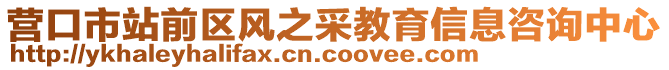 營口市站前區(qū)風(fēng)之采教育信息咨詢中心