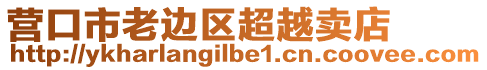 營口市老邊區(qū)超越賣店