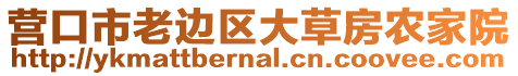 營口市老邊區大草房農家院