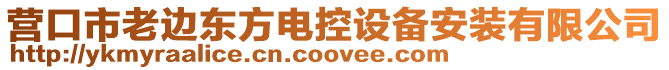 營口市老邊東方電控設備安裝有限公司