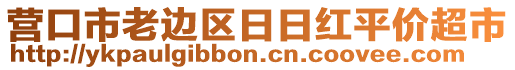 營口市老邊區(qū)日日紅平價超市