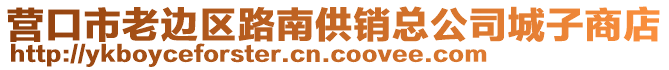 营口市老边区路南供销总公司城子商店