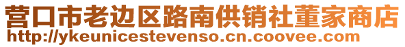 營口市老邊區(qū)路南供銷社董家商店