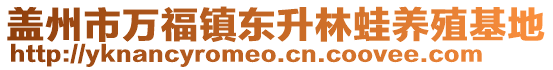 蓋州市萬福鎮東升林蛙養殖基地