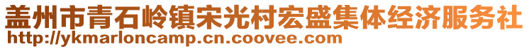 蓋州市青石嶺鎮(zhèn)宋光村宏盛集體經(jīng)濟服務(wù)社