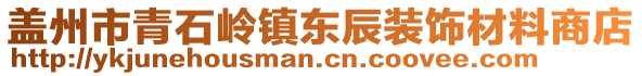 蓋州市青石嶺鎮(zhèn)東辰裝飾材料商店