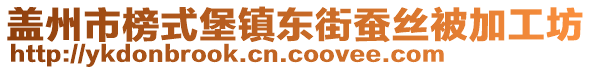 蓋州市榜式堡鎮(zhèn)東街蠶絲被加工坊