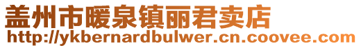 蓋州市暖泉鎮(zhèn)麗君賣(mài)店