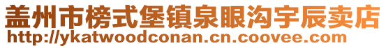 蓋州市榜式堡鎮(zhèn)泉眼溝宇辰賣店