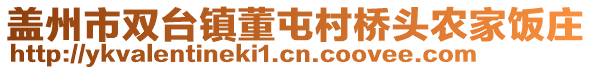 盖州市双台镇董屯村桥头农家饭庄