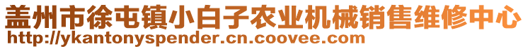 蓋州市徐屯鎮(zhèn)小白子農(nóng)業(yè)機械銷售維修中心