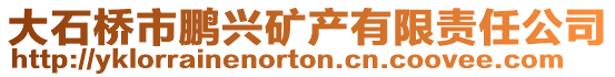 大石桥市鹏兴矿产有限责任公司