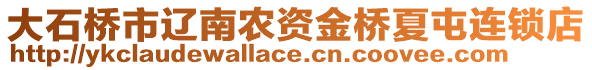 大石橋市遼南農(nóng)資金橋夏屯連鎖店