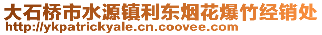 大石橋市水源鎮(zhèn)利東煙花爆竹經(jīng)銷處