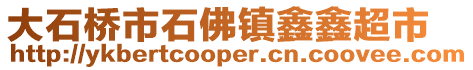 大石桥市石佛镇鑫鑫超市