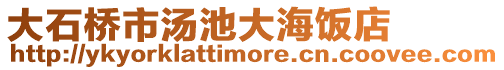 大石橋市湯池大海飯店