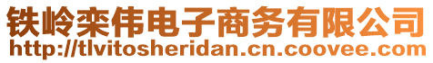 鐵嶺欒偉電子商務有限公司