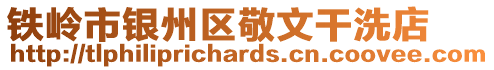 鐵嶺市銀州區(qū)敬文干洗店