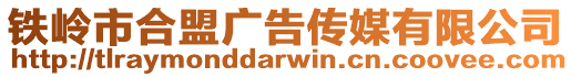 鐵嶺市合盟廣告傳媒有限公司