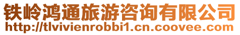 鐵嶺鴻通旅游咨詢有限公司