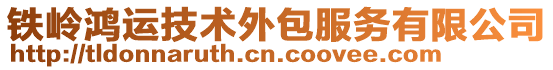 鐵嶺鴻運技術外包服務有限公司