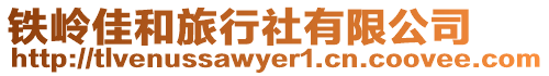 鐵嶺佳和旅行社有限公司