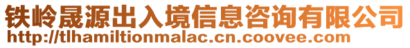 鐵嶺晟源出入境信息咨詢有限公司