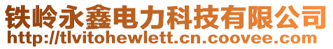 鐵嶺永鑫電力科技有限公司