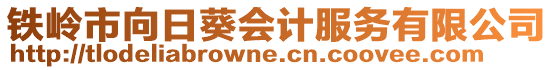 鐵嶺市向日葵會計服務有限公司