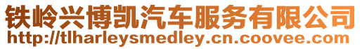 鐵嶺興博凱汽車服務有限公司
