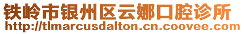 鐵嶺市銀州區云娜口腔診所