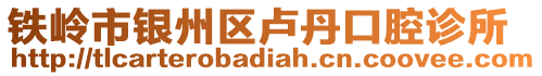 鐵嶺市銀州區盧丹口腔診所