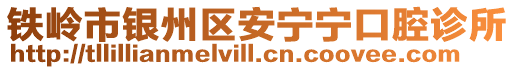 鐵嶺市銀州區安寧寧口腔診所