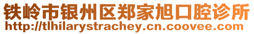 鐵嶺市銀州區(qū)鄭家旭口腔診所