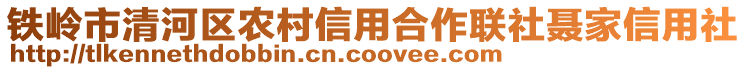 铁岭市清河区农村信用合作联社聂家信用社