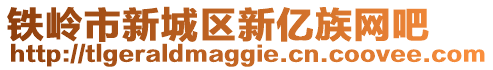 鐵嶺市新城區新億族網吧