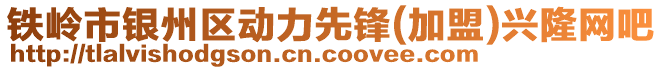 鐵嶺市銀州區(qū)動力先鋒(加盟)興隆網(wǎng)吧