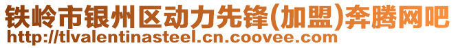 鐵嶺市銀州區動力先鋒(加盟)奔騰網吧