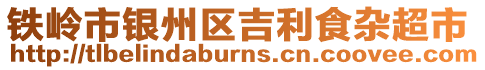 鐵嶺市銀州區吉利食雜超市