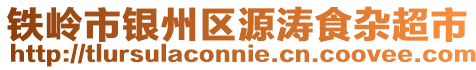 鐵嶺市銀州區源濤食雜超市
