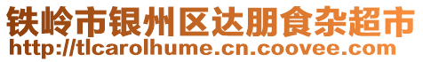 鐵嶺市銀州區達朋食雜超市