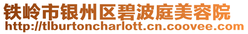 鐵嶺市銀州區碧波庭美容院